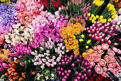 育碧回击马斯克批评 讽刺马斯克雇佣代练打游戏